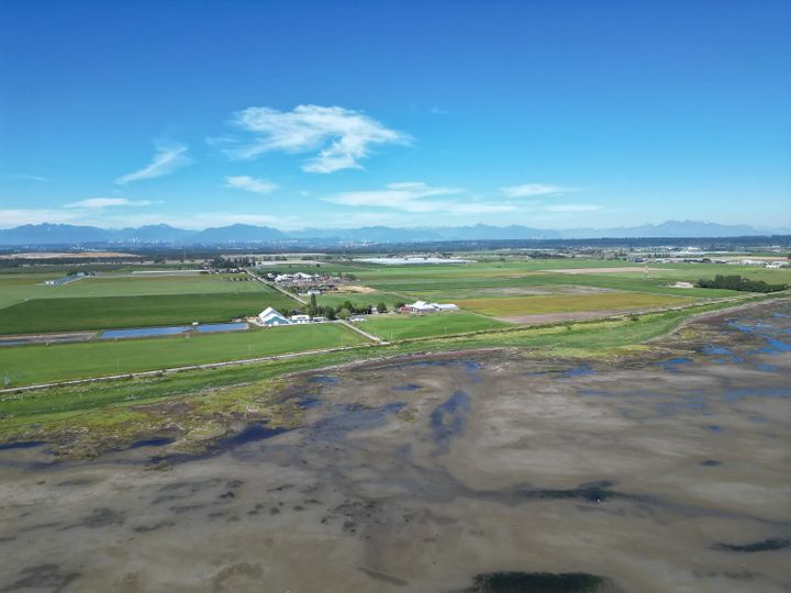 Photo 4 at 3636 88 Street, East Delta, Ladner