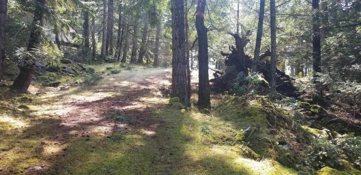 Photo 5 at 278 Laura Point Road, Mayne Island, Islands-Van. & Gulf Photo 5 at 278 Laura Point Road, Mayne Island, Islands-Van. & Gulf