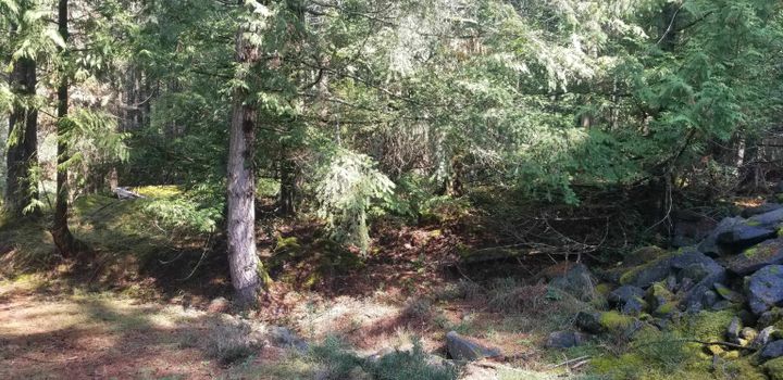 Photo 6 at 278 Laura Point Road, Mayne Island, Islands-Van. & Gulf Photo 6 at 278 Laura Point Road, Mayne Island, Islands-Van. & Gulf