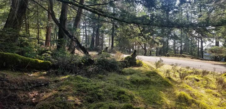 Photo 7 at 278 Laura Point Road, Mayne Island, Islands-Van. & Gulf Photo 7 at 278 Laura Point Road, Mayne Island, Islands-Van. & Gulf