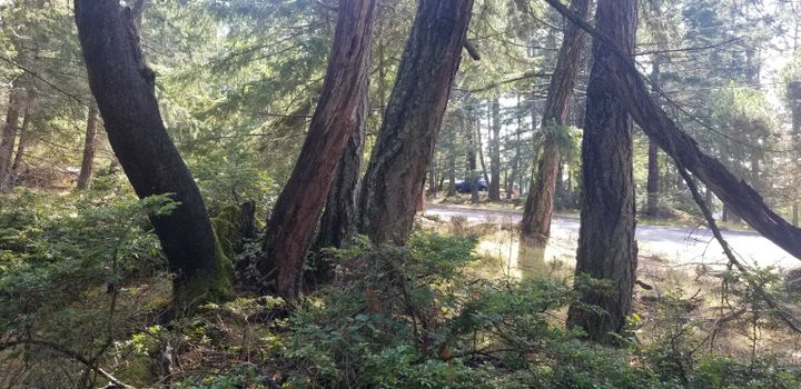 Photo 8 at 278 Laura Point Road, Mayne Island, Islands-Van. & Gulf Photo 8 at 278 Laura Point Road, Mayne Island, Islands-Van. & Gulf