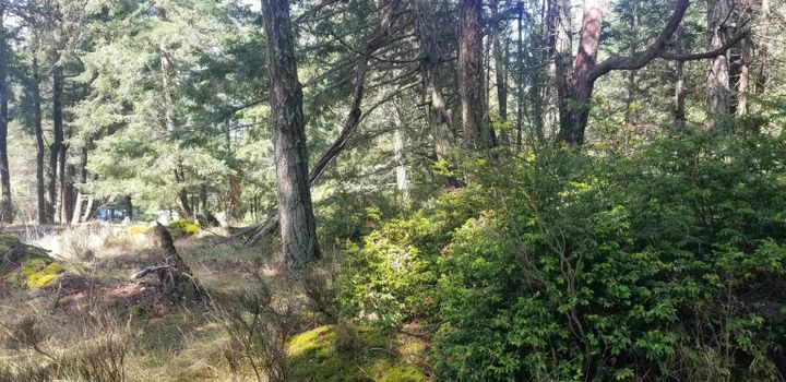 Photo 9 at 278 Laura Point Road, Mayne Island, Islands-Van. & Gulf Photo 9 at 278 Laura Point Road, Mayne Island, Islands-Van. & Gulf