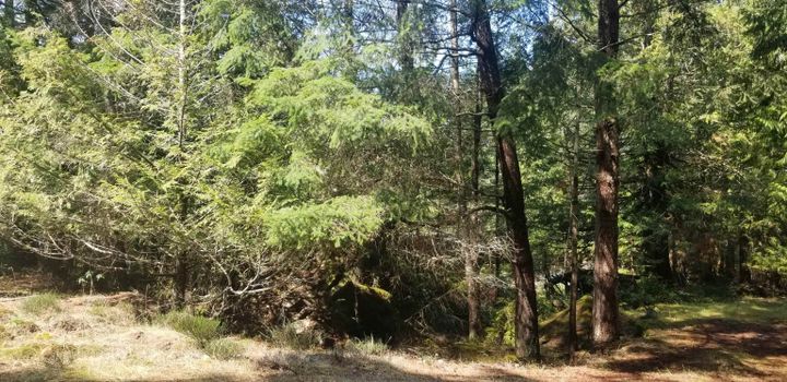 Photo 16 at 278 Laura Point Road, Mayne Island, Islands-Van. & Gulf Photo 16 at 278 Laura Point Road, Mayne Island, Islands-Van. & Gulf