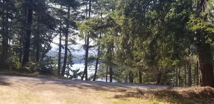 Photo 17 at 278 Laura Point Road, Mayne Island, Islands-Van. & Gulf Photo 17 at 278 Laura Point Road, Mayne Island, Islands-Van. & Gulf