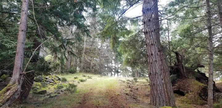 Photo 20 at 278 Laura Point Road, Mayne Island, Islands-Van. & Gulf Photo 20 at 278 Laura Point Road, Mayne Island, Islands-Van. & Gulf