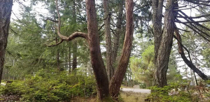 Photo 25 at 278 Laura Point Road, Mayne Island, Islands-Van. & Gulf Photo 25 at 278 Laura Point Road, Mayne Island, Islands-Van. & Gulf