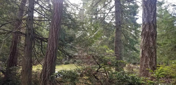 Photo 26 at 278 Laura Point Road, Mayne Island, Islands-Van. & Gulf Photo 26 at 278 Laura Point Road, Mayne Island, Islands-Van. & Gulf