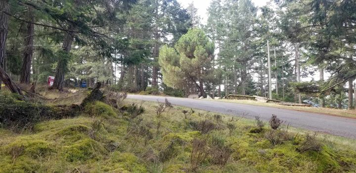 Photo 27 at 278 Laura Point Road, Mayne Island, Islands-Van. & Gulf Photo 27 at 278 Laura Point Road, Mayne Island, Islands-Van. & Gulf