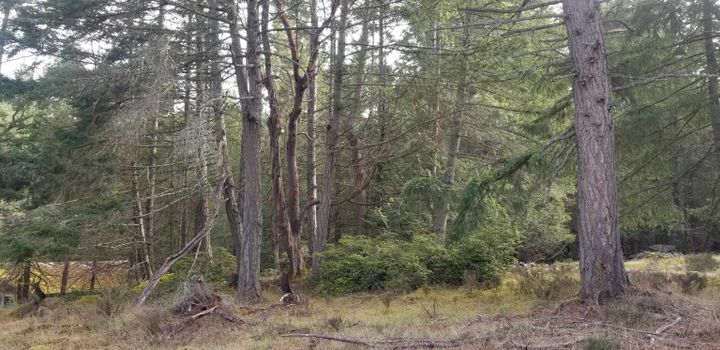 Photo 28 at 278 Laura Point Road, Mayne Island, Islands-Van. & Gulf Photo 28 at 278 Laura Point Road, Mayne Island, Islands-Van. & Gulf