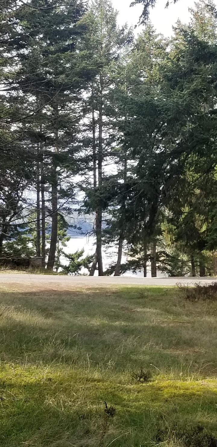 Photo 32 at 278 Laura Point Road, Mayne Island, Islands-Van. & Gulf Photo 32 at 278 Laura Point Road, Mayne Island, Islands-Van. & Gulf