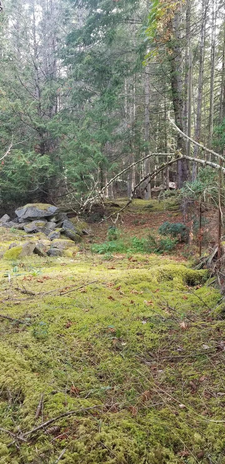 Photo 33 at 278 Laura Point Road, Mayne Island, Islands-Van. & Gulf Photo 33 at 278 Laura Point Road, Mayne Island, Islands-Van. & Gulf