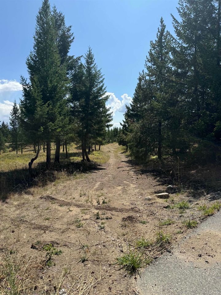 Photo 2 at 891 Raven Hill Road, FVREB Out of Town