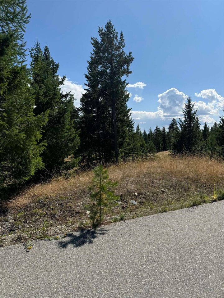 Photo 4 at 891 Raven Hill Road, FVREB Out of Town