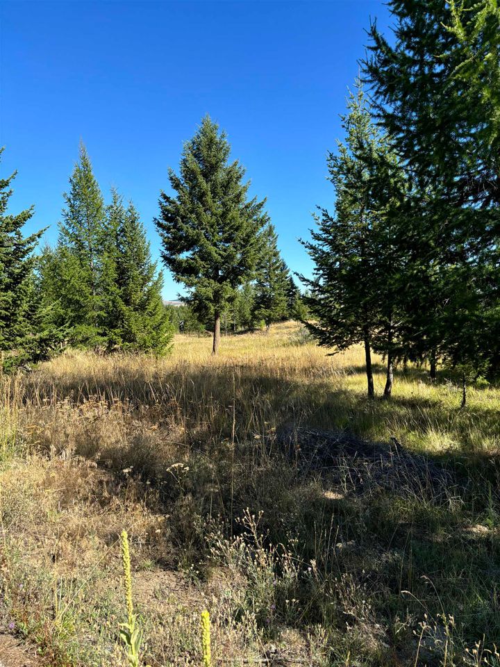 Photo 6 at 891 Raven Hill Road, FVREB Out of Town