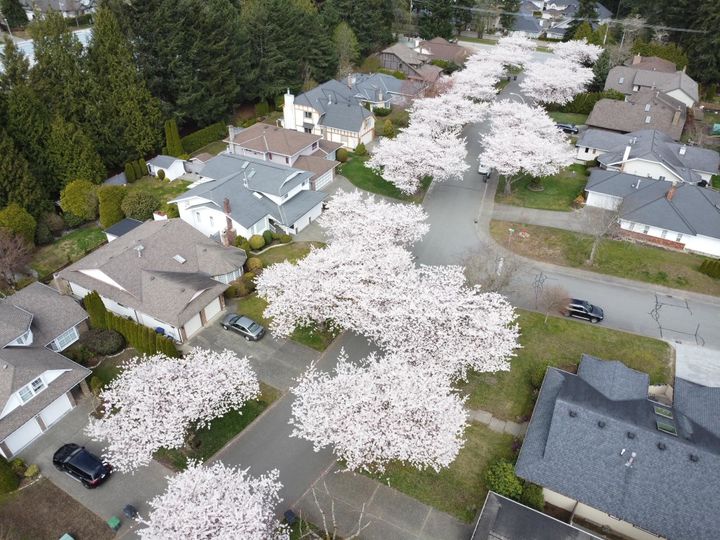 Photo 37 at 14897 22 Avenue, Sunnyside Park Surrey, South Surrey White Rock