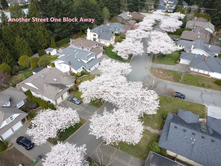 Photo 38 at 14897 22 Avenue, Sunnyside Park Surrey, South Surrey White Rock