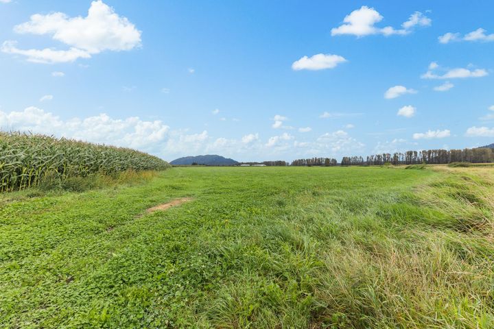 Photo 40 at 8713 Howell Road, Dewdney Deroche, Mission