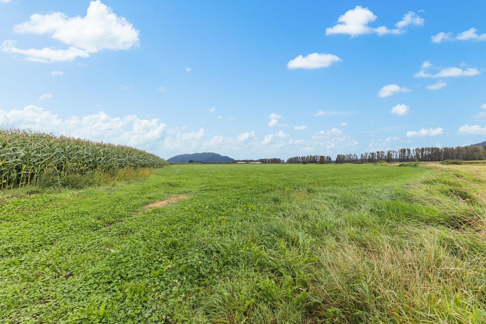 Photo 40 at 8713 Howell Road, Dewdney Deroche, Mission Photo 40 at 8713 Howell Road, Dewdney Deroche, Mission