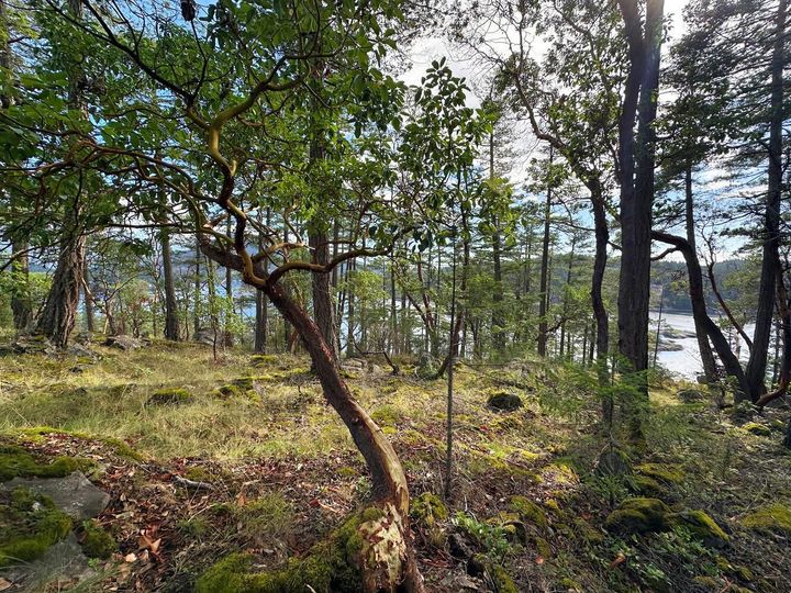 Photo 3 at LOT 14 Flagship Road, Pender Harbour Egmont, Sunshine Coast