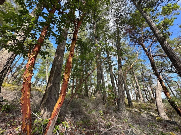 Photo 6 at LOT 14 Flagship Road, Pender Harbour Egmont, Sunshine Coast