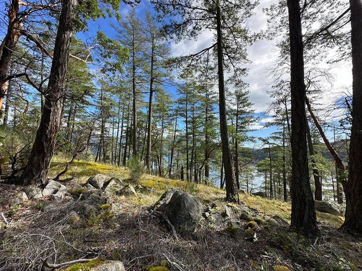Photo 8 at LOT 14 Flagship Road, Pender Harbour Egmont, Sunshine Coast