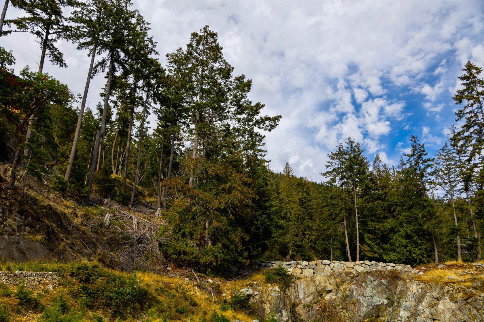 Photo 11 at Lot 1 Shore Lane, Bowen Island Photo 11 at Lot 1 Shore Lane, Bowen Island