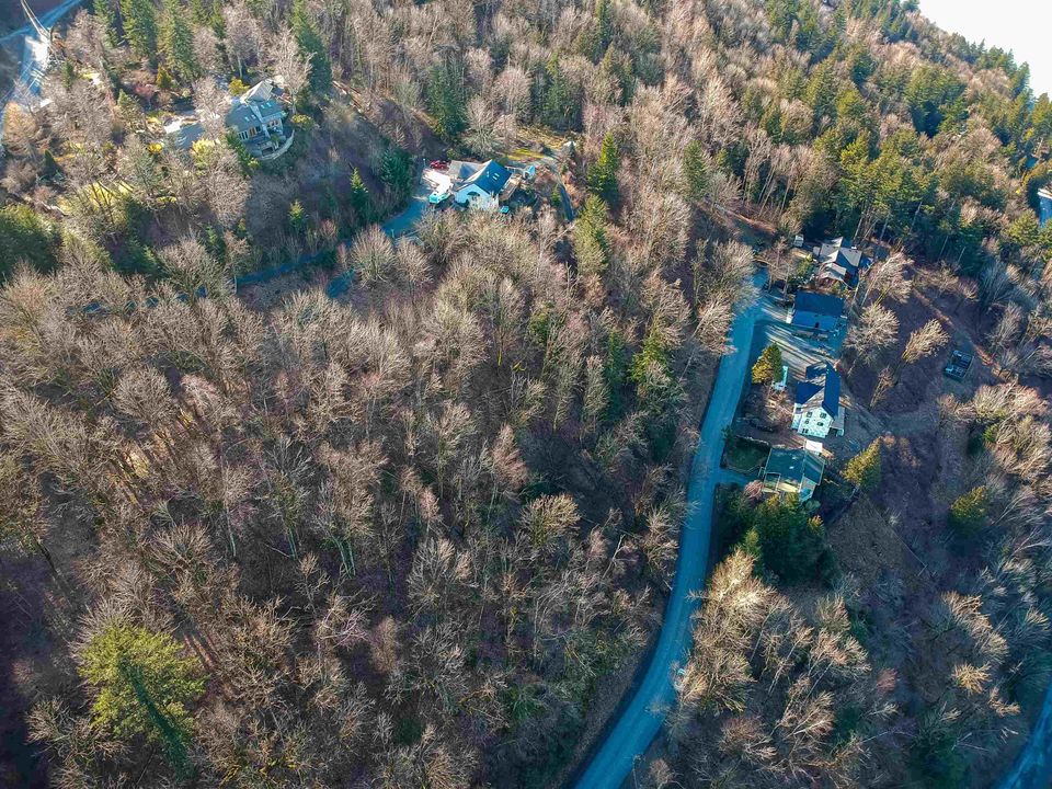 Photo 38 at 43207 Salmonberry Drive, Chilliwack Mountain, Chilliwack Photo 38 at 43207 Salmonberry Drive, Chilliwack Mountain, Chilliwack