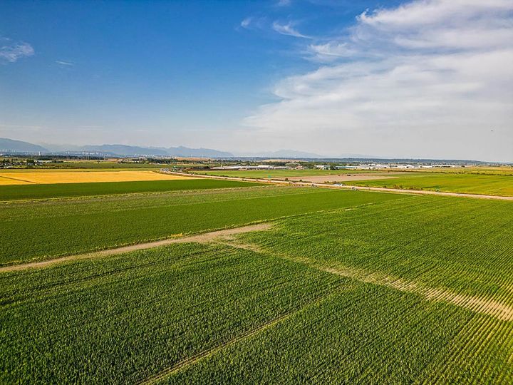 Photo 3 at 3820 64 Street, Ladner Rural, Ladner