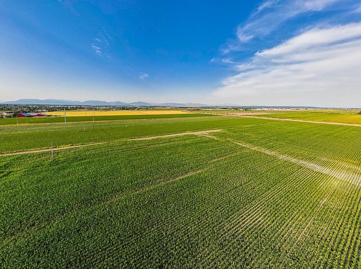 Photo 4 at 3820 64 Street, Ladner Rural, Ladner Photo 4 at 3820 64 Street, Ladner Rural, Ladner