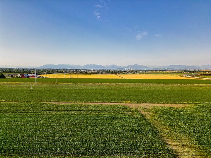Photo 5 at 3820 64 Street, Ladner Rural, Ladner