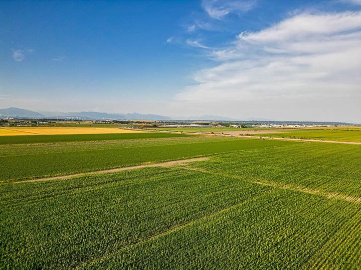 Photo 8 at 3820 64 Street, Ladner Rural, Ladner Photo 8 at 3820 64 Street, Ladner Rural, Ladner