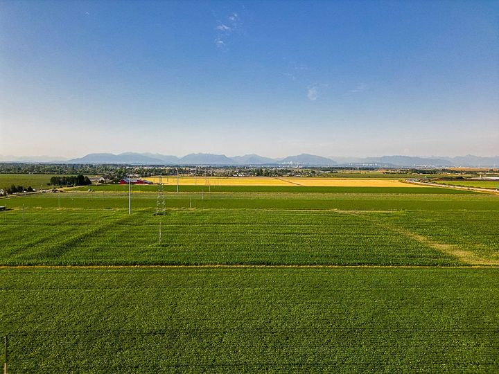 Photo 9 at 3820 64 Street, Ladner Rural, Ladner