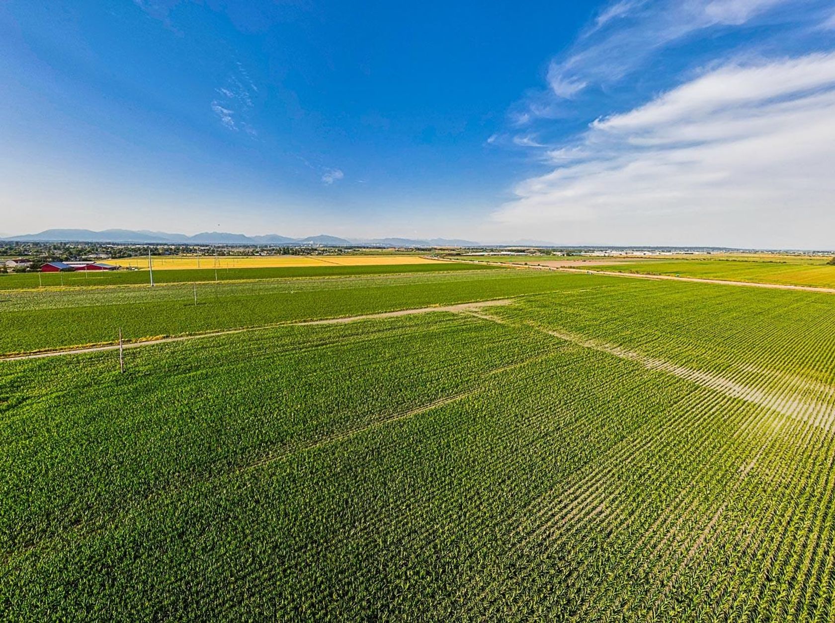 Photo 4 at 3820 64 Street, Ladner Rural, Ladner Photo 4 at 3820 64 Street, Ladner Rural, Ladner