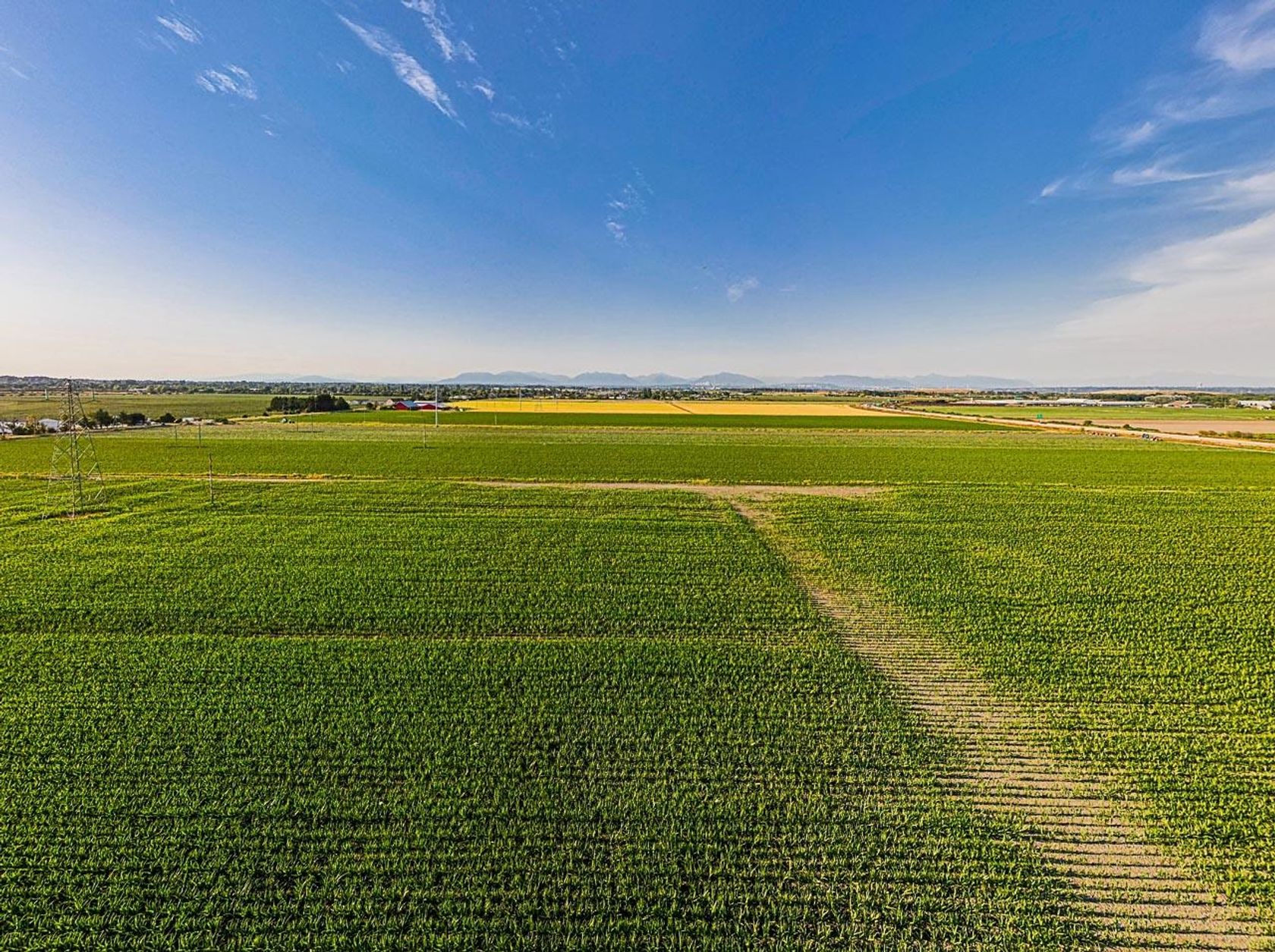 Photo 6 at 3820 64 Street, Ladner Rural, Ladner Photo 6 at 3820 64 Street, Ladner Rural, Ladner