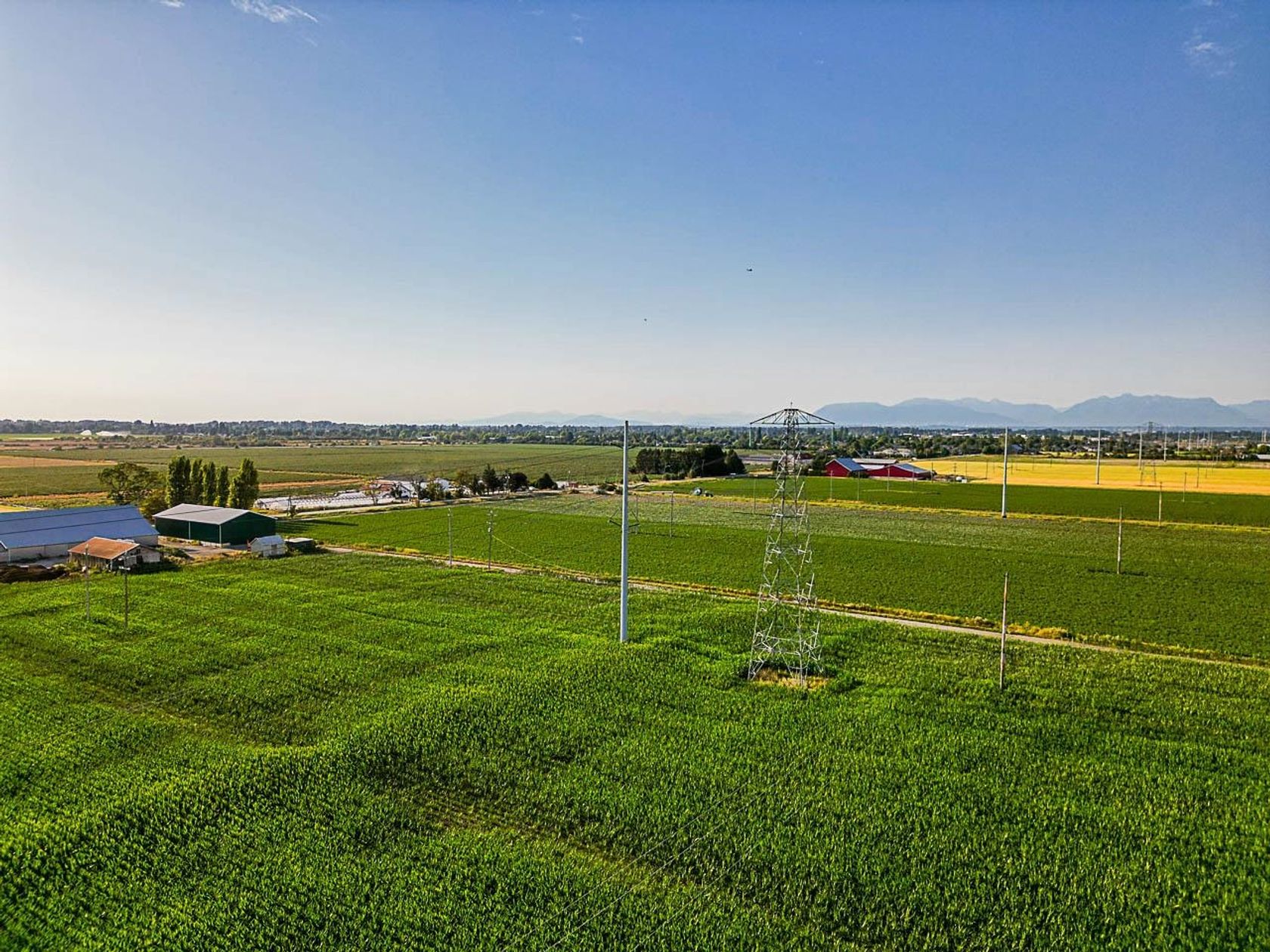 Photo 7 at 3820 64 Street, Ladner Rural, Ladner Photo 7 at 3820 64 Street, Ladner Rural, Ladner