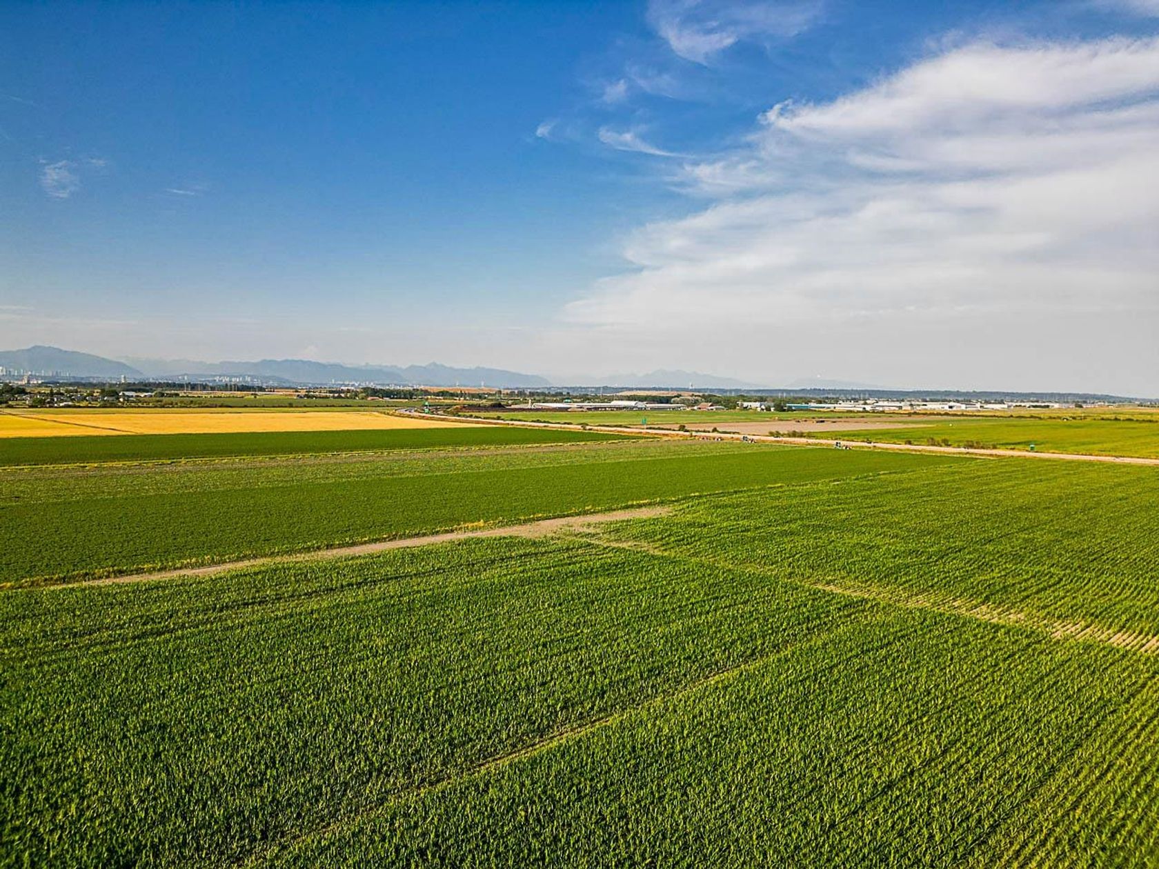 Photo 8 at 3820 64 Street, Ladner Rural, Ladner Photo 8 at 3820 64 Street, Ladner Rural, Ladner