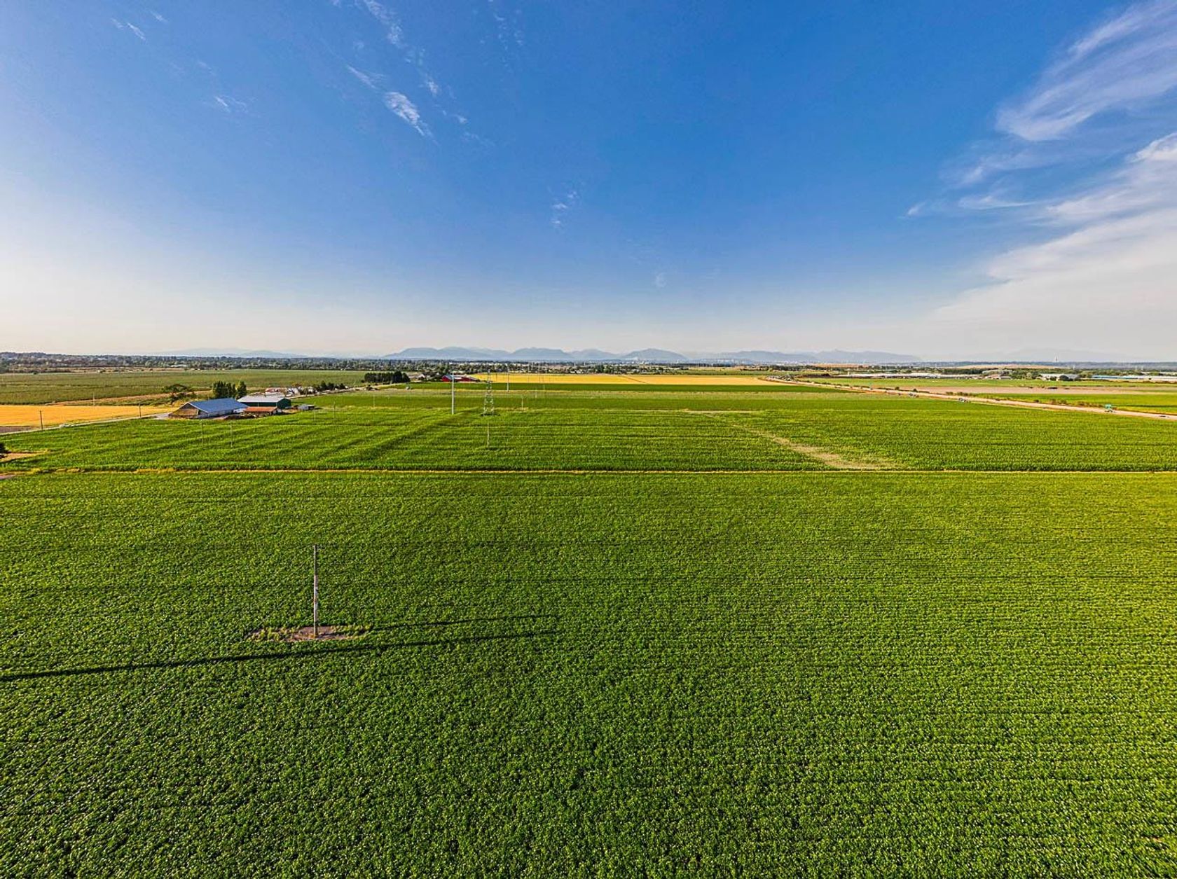 Photo 10 at 3820 64 Street, Ladner Rural, Ladner Photo 10 at 3820 64 Street, Ladner Rural, Ladner