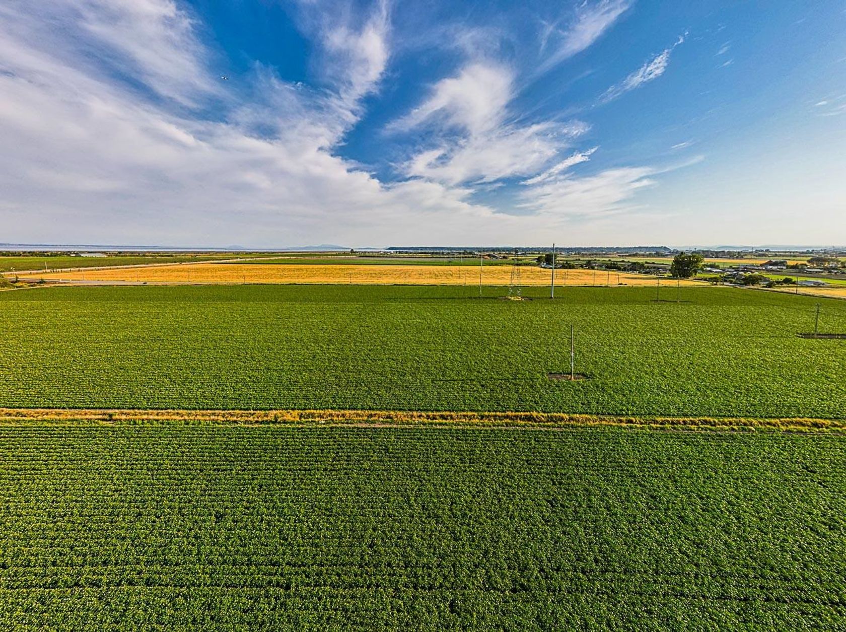 Photo 11 at 3820 64 Street, Ladner Rural, Ladner Photo 11 at 3820 64 Street, Ladner Rural, Ladner