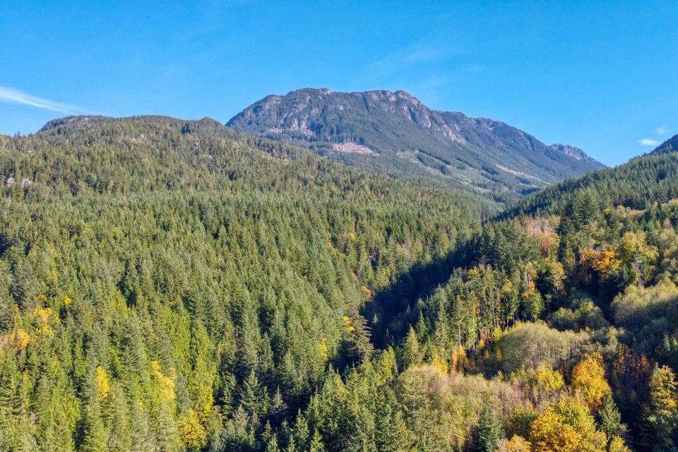 Photo 10 at 1017 Copper Drive, Britannia Beach, Squamish