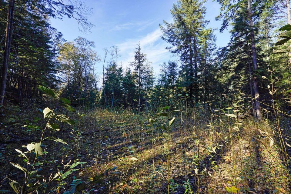 Photo 12 at 1017 Copper Drive, Britannia Beach, Squamish