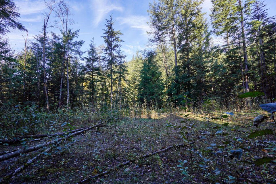 Photo 15 at 1017 Copper Drive, Britannia Beach, Squamish