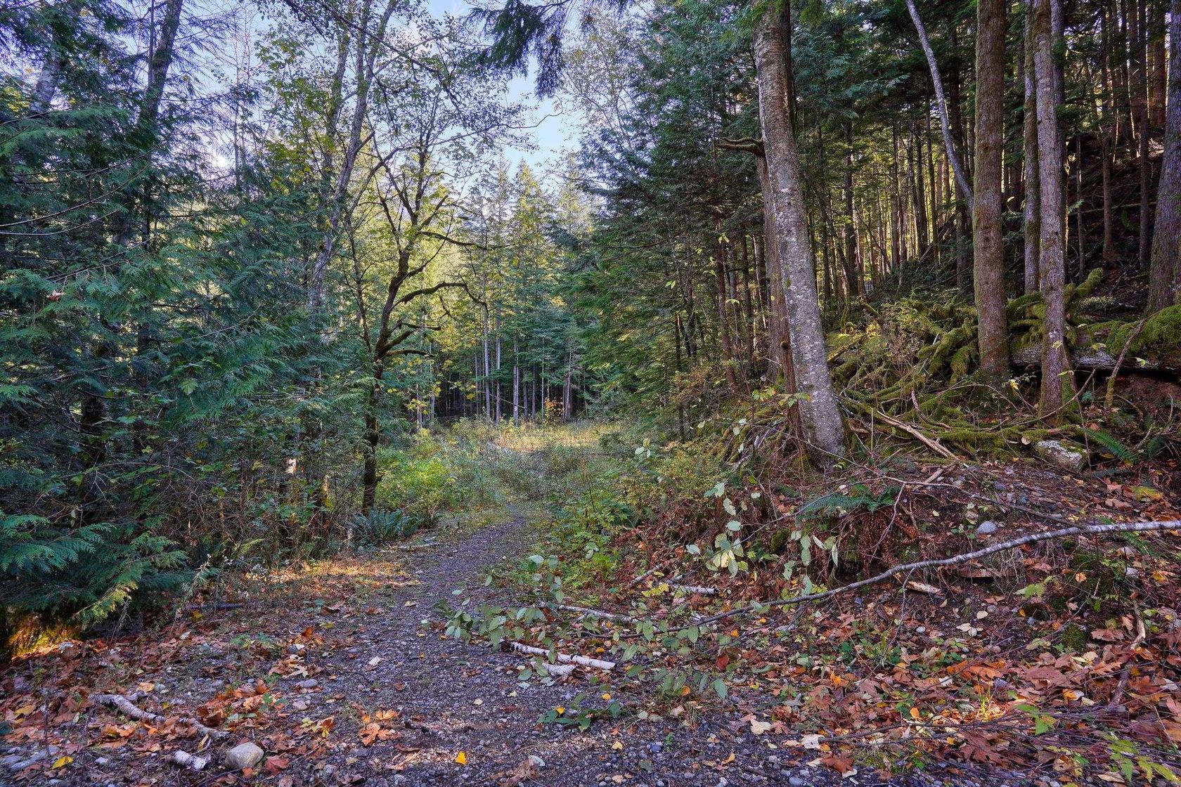 1017 Copper Drive, Britannia Beach, Squamish  by Find A Property with Sotheby's International Realty Canada 1017 Copper Drive, Britannia Beach, Squamish