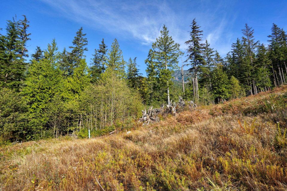 Photo 21 at 1125 Copper Drive, Britannia Beach, Squamish
