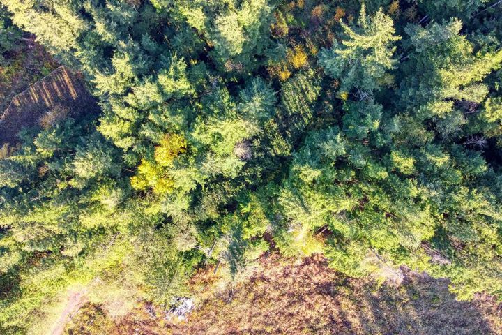 Photo 6 at 1125 Copper Drive, Britannia Beach, Squamish