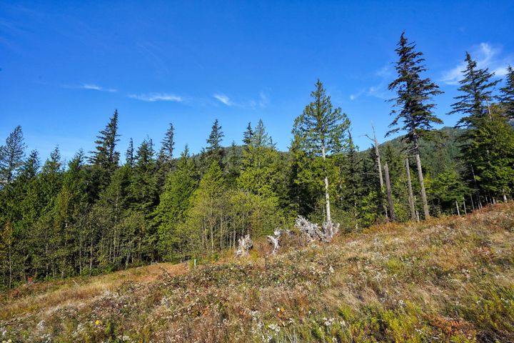 Photo 14 at 1125 Copper Drive, Britannia Beach, Squamish