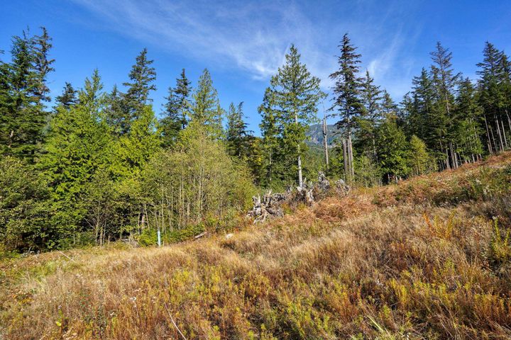 Photo 21 at 1125 Copper Drive, Britannia Beach, Squamish