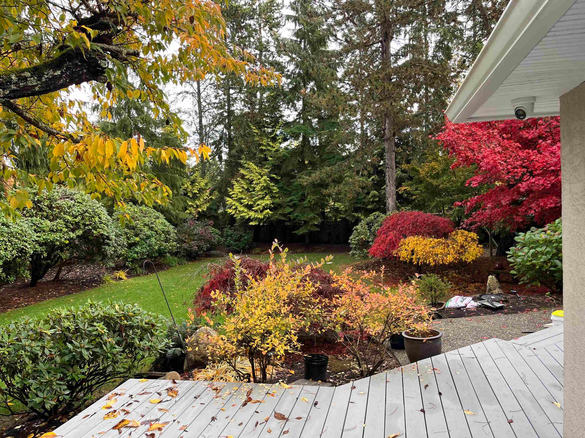 Photo 31 at 13621 18 Avenue, Sunnyside Park Surrey, South Surrey White Rock Photo 31 at 13621 18 Avenue, Sunnyside Park Surrey, South Surrey White Rock