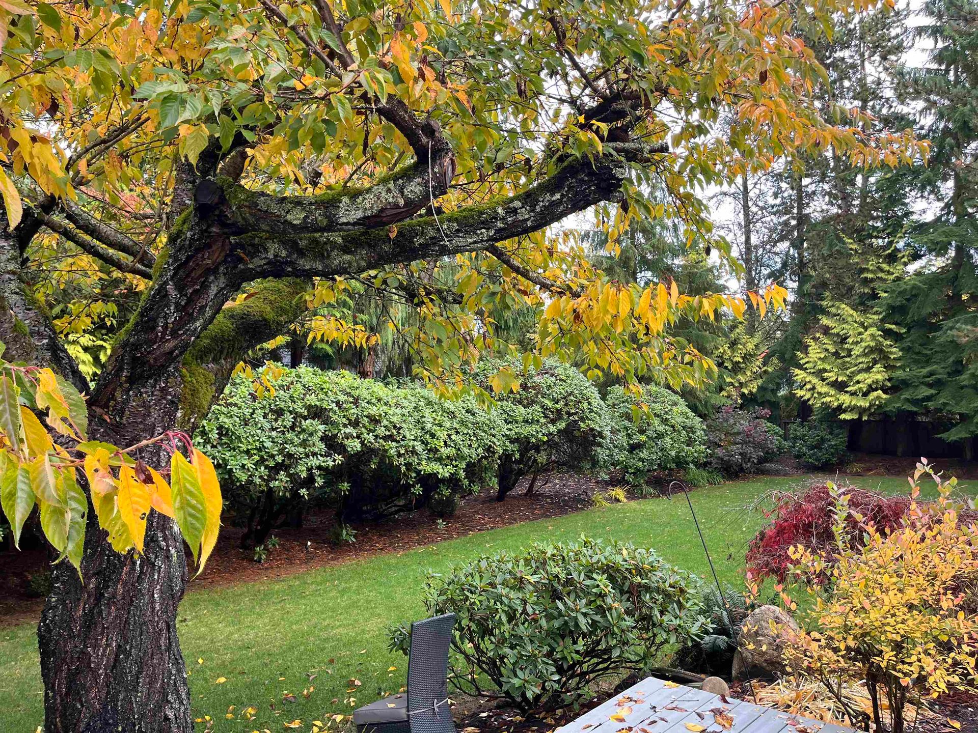 Photo 33 at 13621 18 Avenue, Sunnyside Park Surrey, South Surrey White Rock Photo 33 at 13621 18 Avenue, Sunnyside Park Surrey, South Surrey White Rock