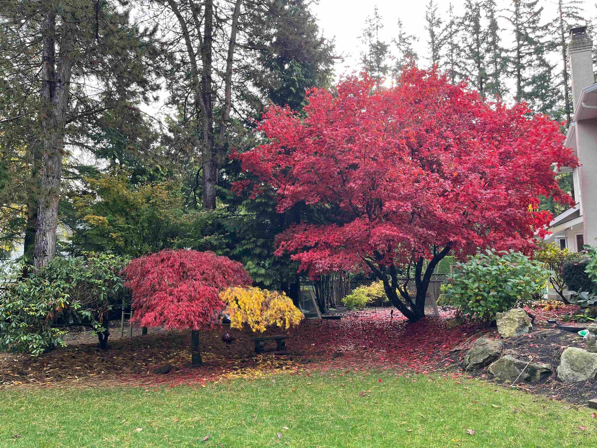 Photo 34 at 13621 18 Avenue, Sunnyside Park Surrey, South Surrey White Rock Photo 34 at 13621 18 Avenue, Sunnyside Park Surrey, South Surrey White Rock