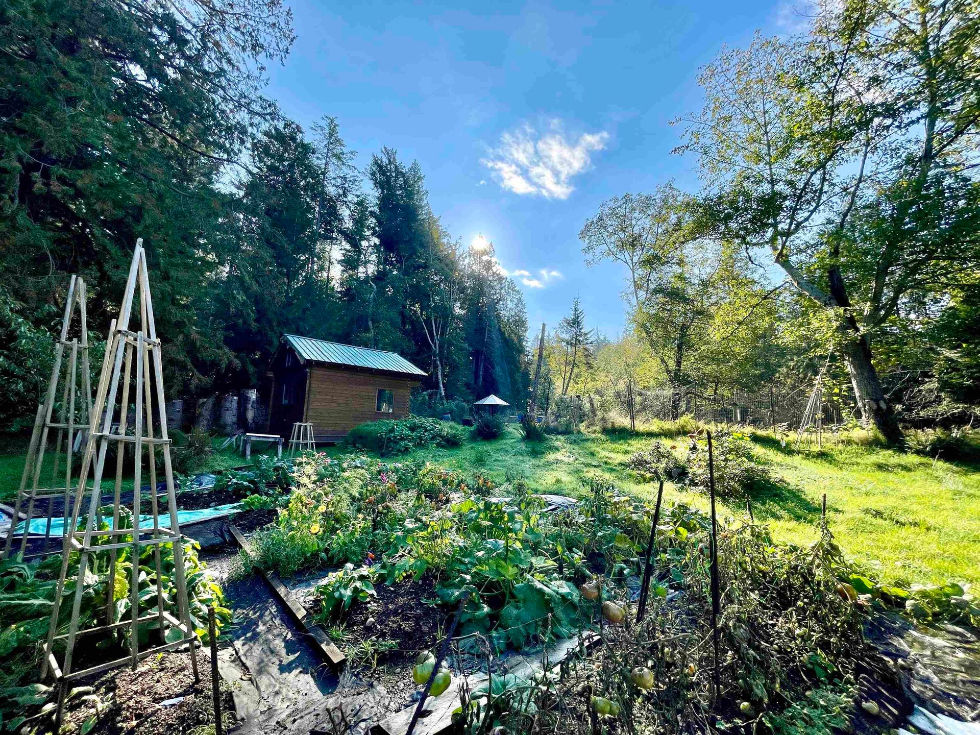 650 Tumbo Channel Road, Saturna Island, Islands-Van. & Gulf  by Brian Rhys | REALTOR® - Royal LePage Sussex 650 Tumbo Channel Road, Saturna Island, Islands-Van. & Gulf